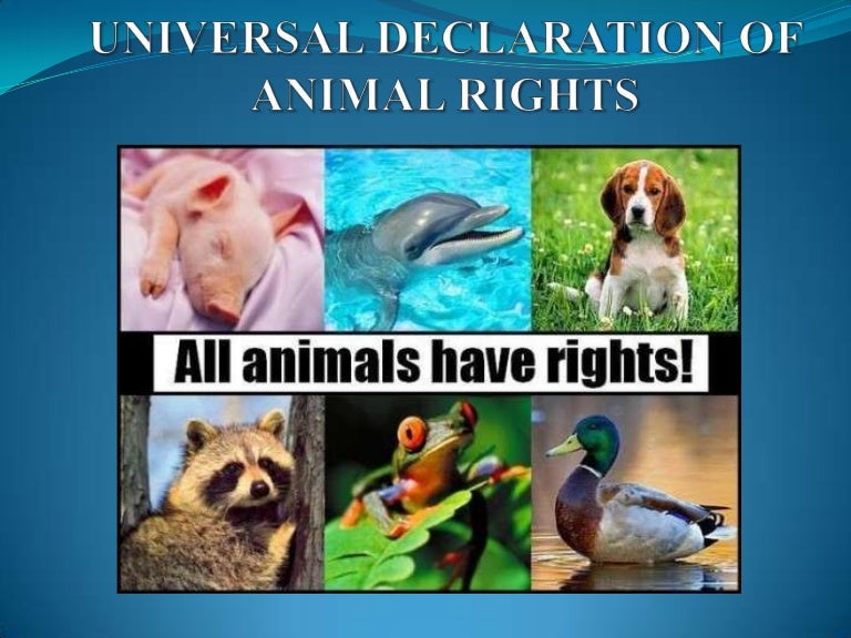 Animal rights part 2