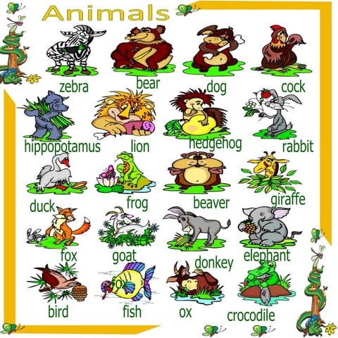 namingwords for animals | PPTX