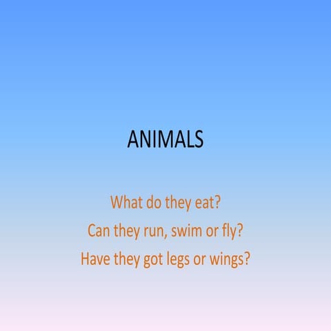 Animals