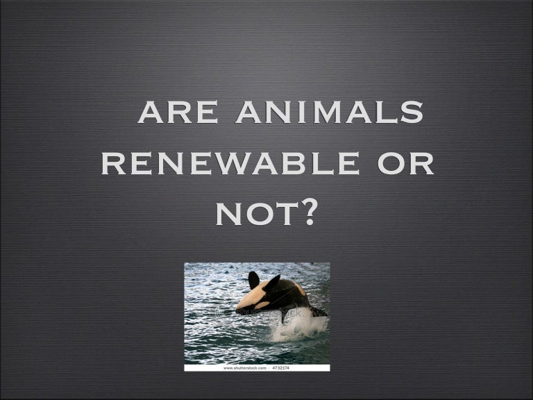Animals Are A Renewable Resource