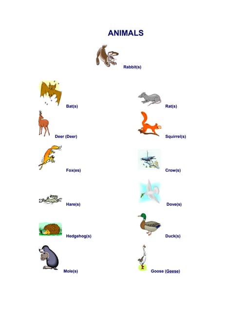 List animals and_young | PDF