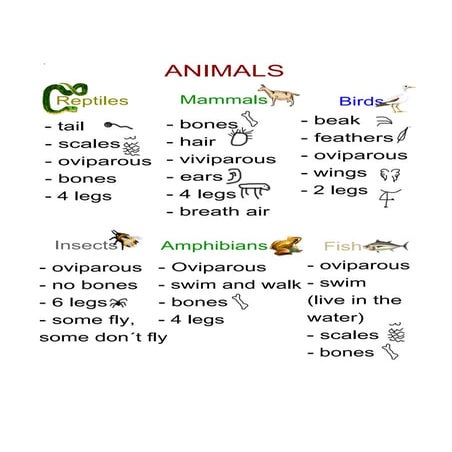 Animals