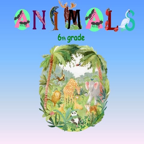 Animals