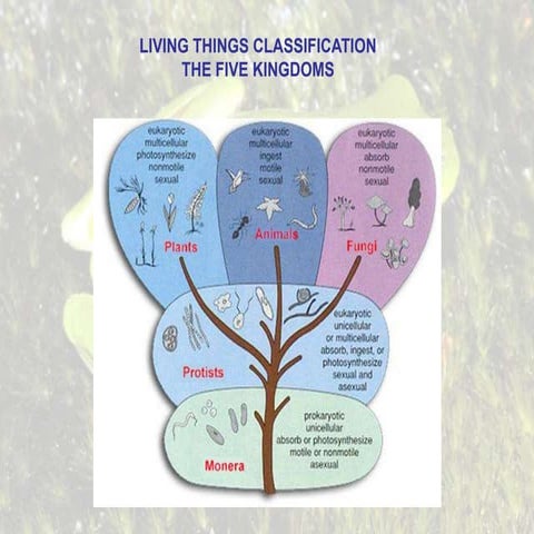 Animal characteristics chart | PPTX