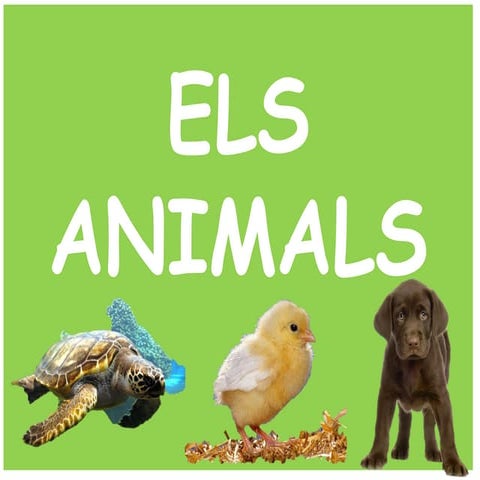 Els animals