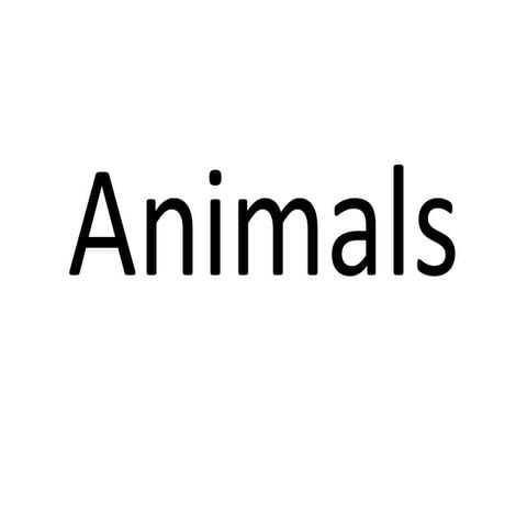 Flashcards: Animals