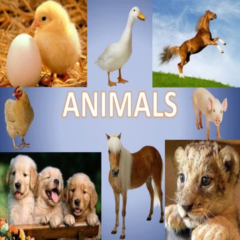 Unit2 animals | PDF