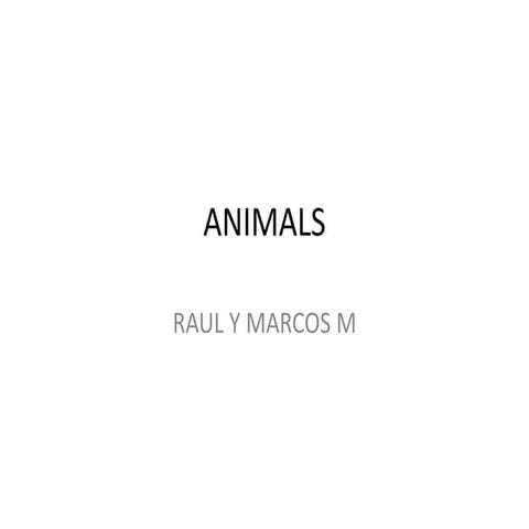Animals