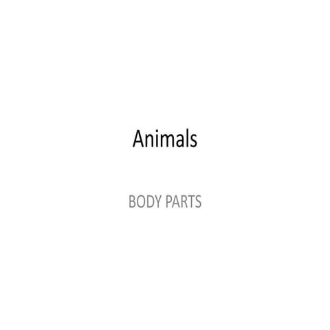 Animals: body parts