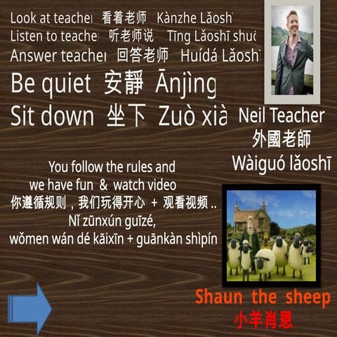 Activities that holds animals in sw.pptx