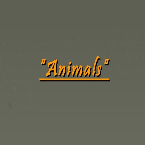 Animals (Gj. Angleze)