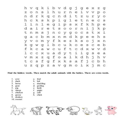 Animals and-baby-animals