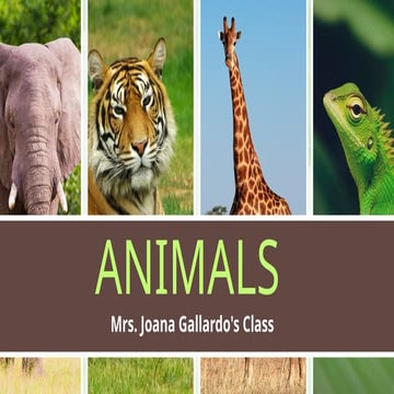 ANIMALS-animals-comparatives-COMPARATIVES.pptx