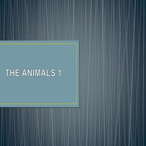 Animals 1