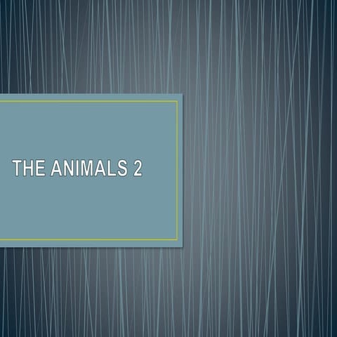 Animals 2