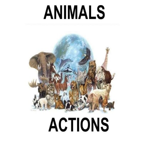 Animals actions | PDF