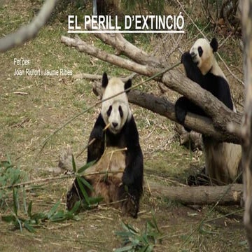 Animals amb perill d'extinció a les Illes Balears i al món