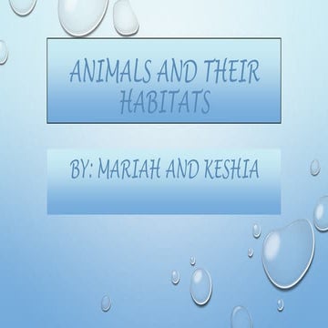 Animals and their_habitats