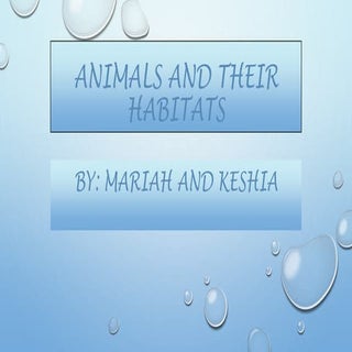 Animals and their habitats upload