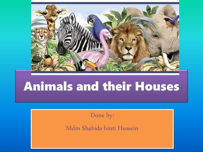Animals and their houses