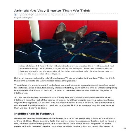 Animals are way smarter than we think