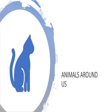 Animals around us full