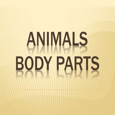 Animals Body Parts | PPTX