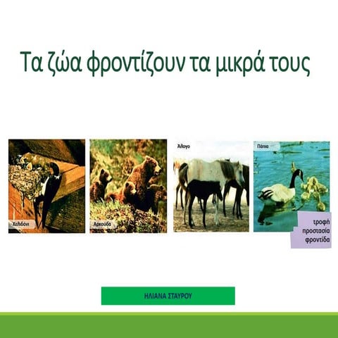 Τα ζώα φροντίζουν τα μικρά τους.