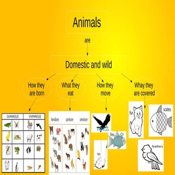 Animals ccnn(peques)