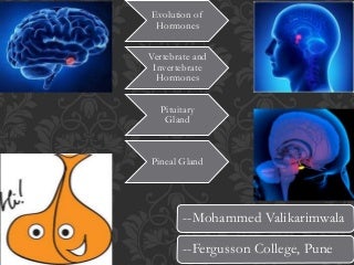 'hormones' on SlideShare