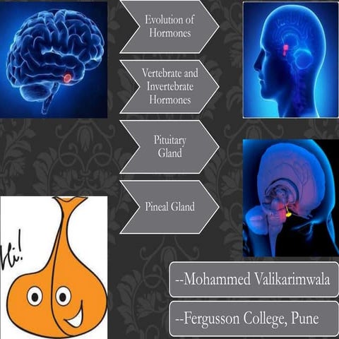 Animal Science Ppt || Animal Hormones || Human Hormones -- from Pituitary and...