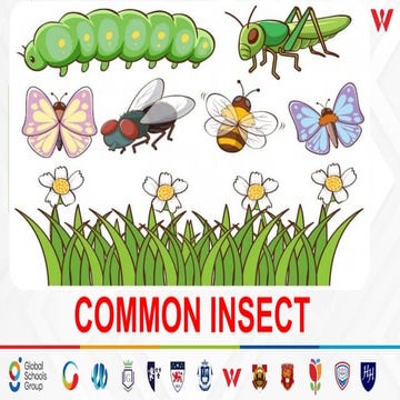 Grade 3 ICSE ANIMALS_ COMMON INSECT.pptx