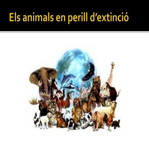 Animals en perill d'extinció | PPTX