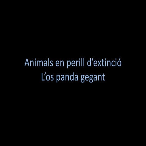 Animals en perill d'extinció - El panda gegant