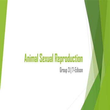 Comprehensive Study of Courtship and Mating Behaviour in Animals | PPTX