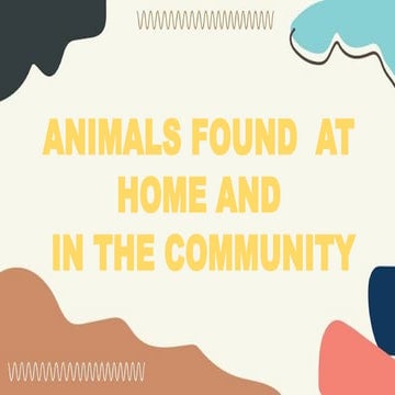 animals found at home and in the community 2023.pptx
