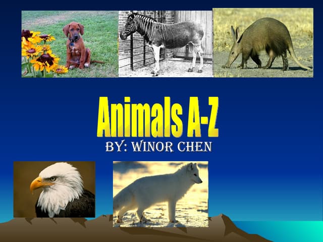 Animals From A Z (Winor Chen)