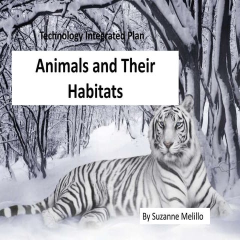 Animals & habitats   s. melillo