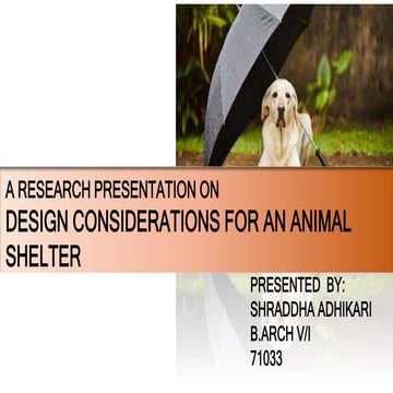 Space Recommendations for an ANimal Shelter | PPT