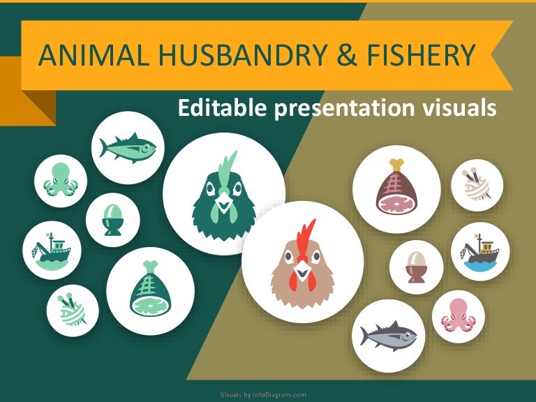 Making Of Food Industry Charts Animal Husbandry And Fishery