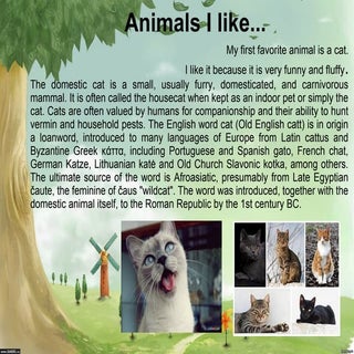 Animals i like