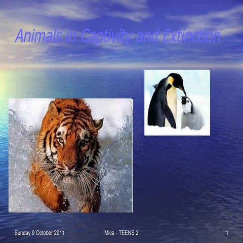 Animals in Captivity and Extinction