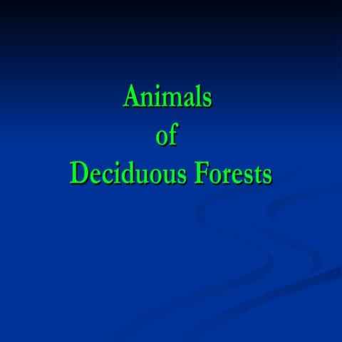 Animals in d f