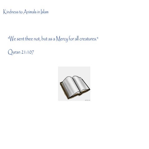 Treatment of Animals in Islam
