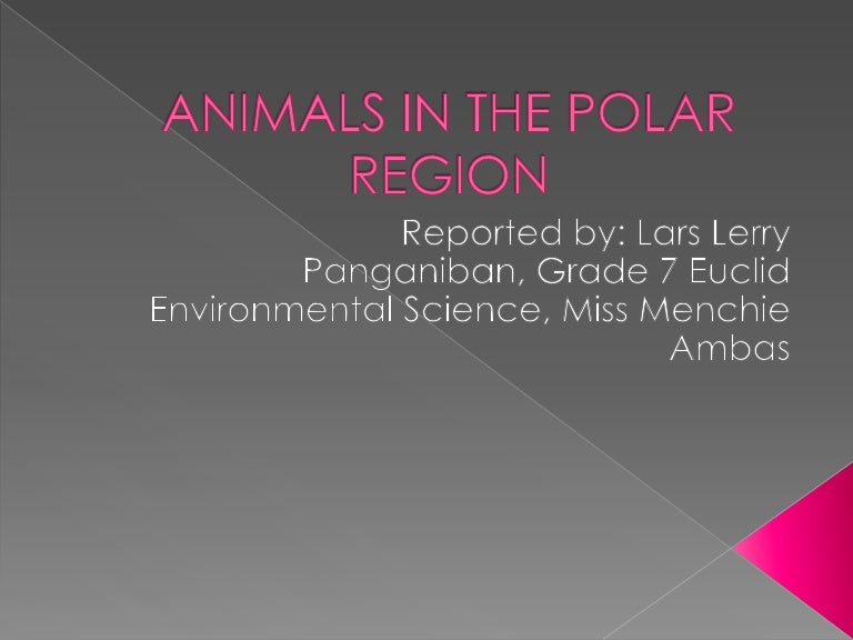 Animals in the polar region