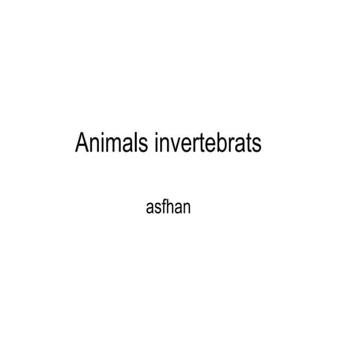 Animals invertebrats asfhan 1
