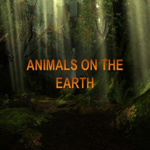 Animals on the_earth