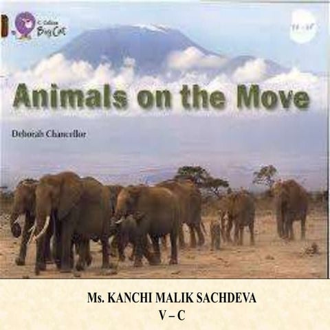 Animals on the move