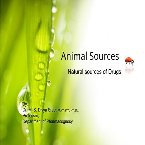 Animal fats and oil | PPTX