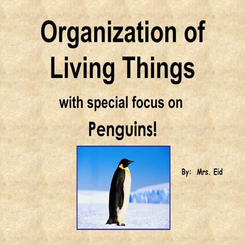 Animals Penguins Ppt